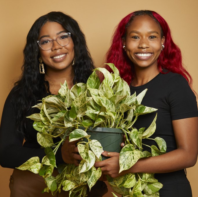 Let’s Talk African-American Gardens: Reconnect to Nature (Indoors!)