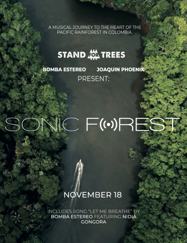 AfroMundo Festival: Screening of Documentary “Sonic Forest”