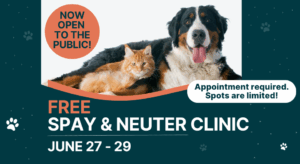 Free Spay/Neuter clinic