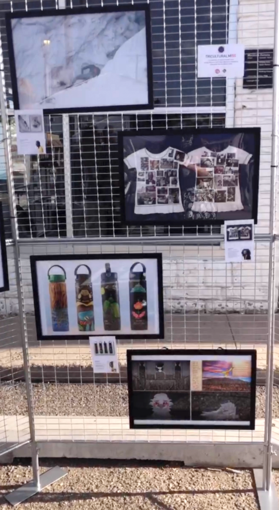 True New Mexico Artwalk Popup Panel 2