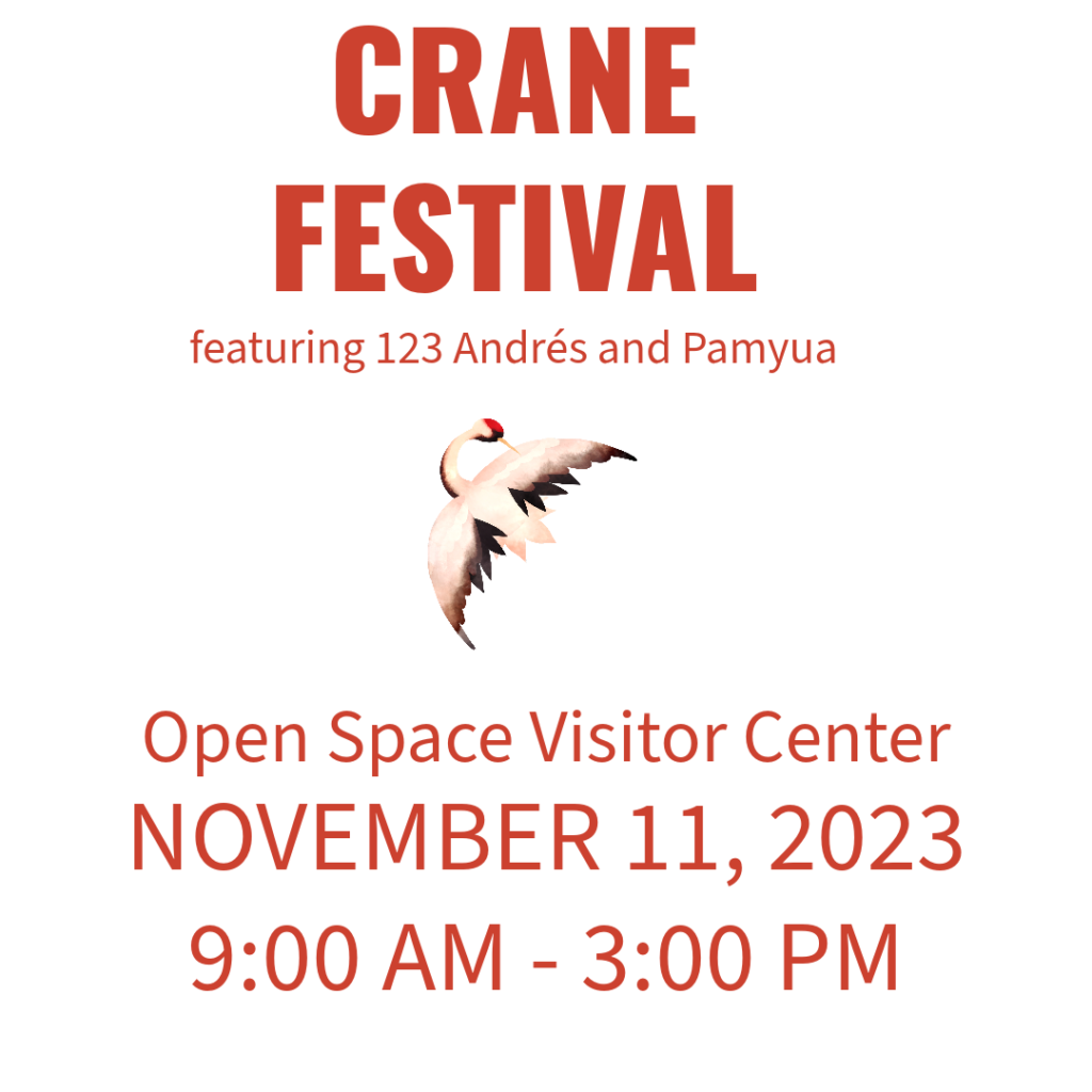 Crane Festival