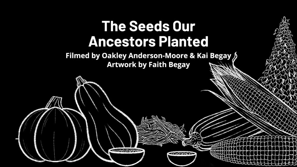 The Seeds Our Ancestors Planted online film screening