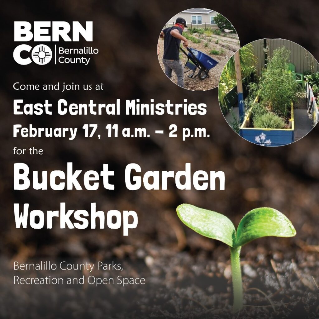 Bucket Garden Workshop