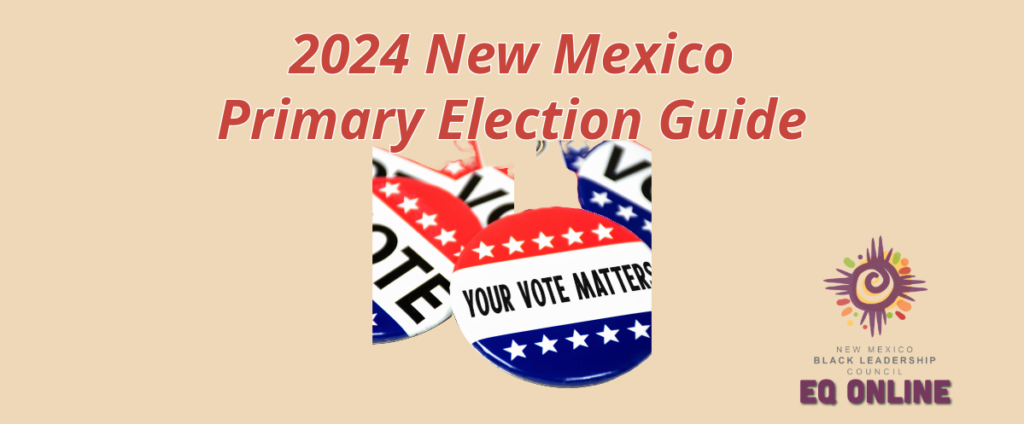 2024 New Mexico Primary Election