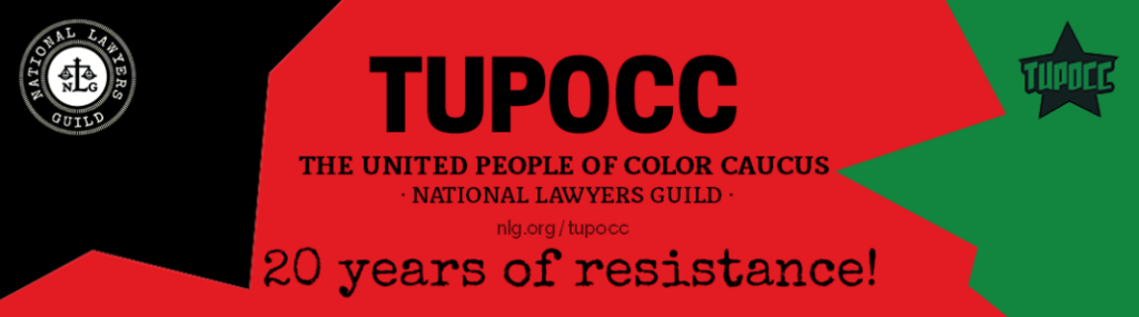 The State of Black Lawyering and Organizing Webinar