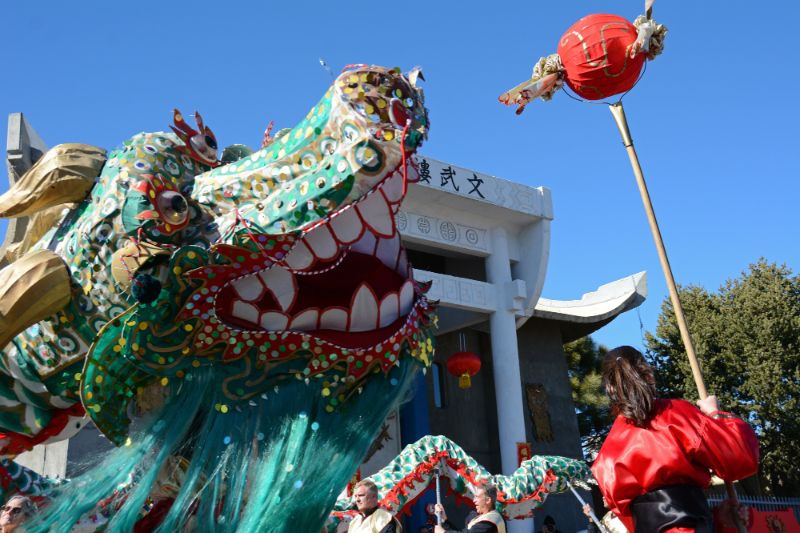 Lunar New Year Celebration