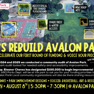 Let’s Rebuild Avalon Park!